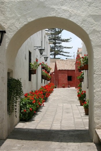 Santa Catalina Monastery alleyway - Arequipa