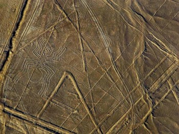 The spider - Nasca Lines, Peru