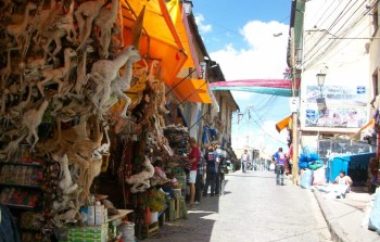 La Paz - Witches' Market