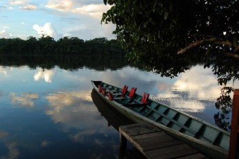 Lake Sandoval - Amazon