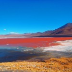 Laguna Colorada - Bolivia