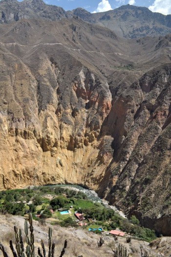 Oasis - Colca Canyon, Arequipa