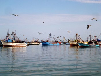 Paracas fishing port