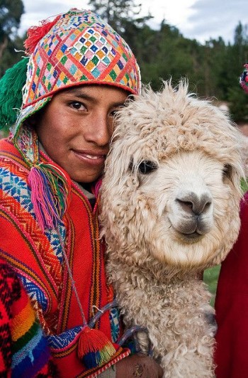 Peruvian boy with his llama