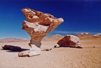 Stone Tree - Sud Lipez, Bolivia
