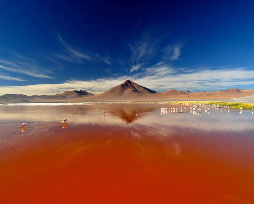 Laguna Colorada - Bolivia